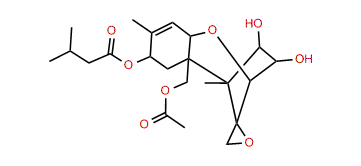 Mycotoxin HT 2